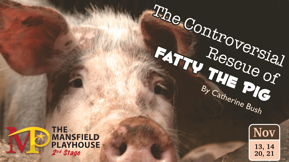 The Controversial Rescue Of Fatty The Pig